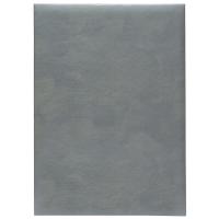 Madera Plata